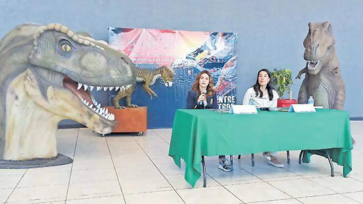 Museo dinosaurios